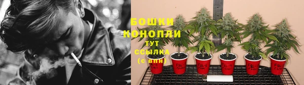 PSILOCYBIN Балахна