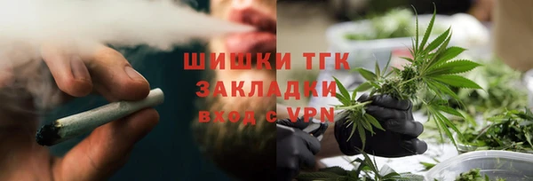 PSILOCYBIN Балахна