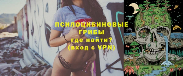 PSILOCYBIN Балахна