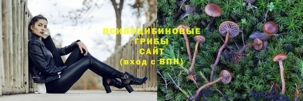 ALPHA PVP Касимов