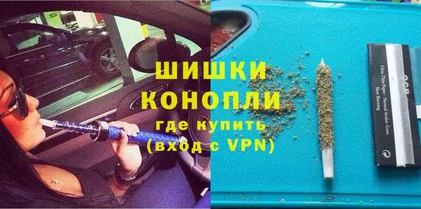 PSILOCYBIN Балахна