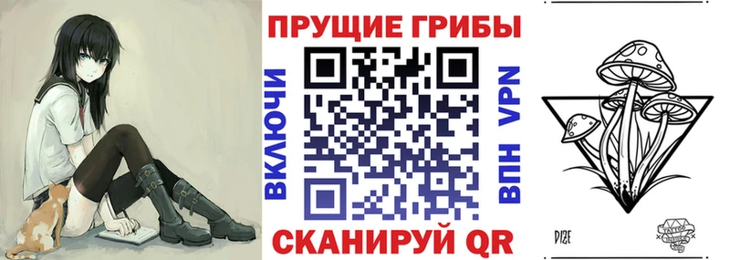 Галлюциногенные грибы Psilocybe  Красный Холм 